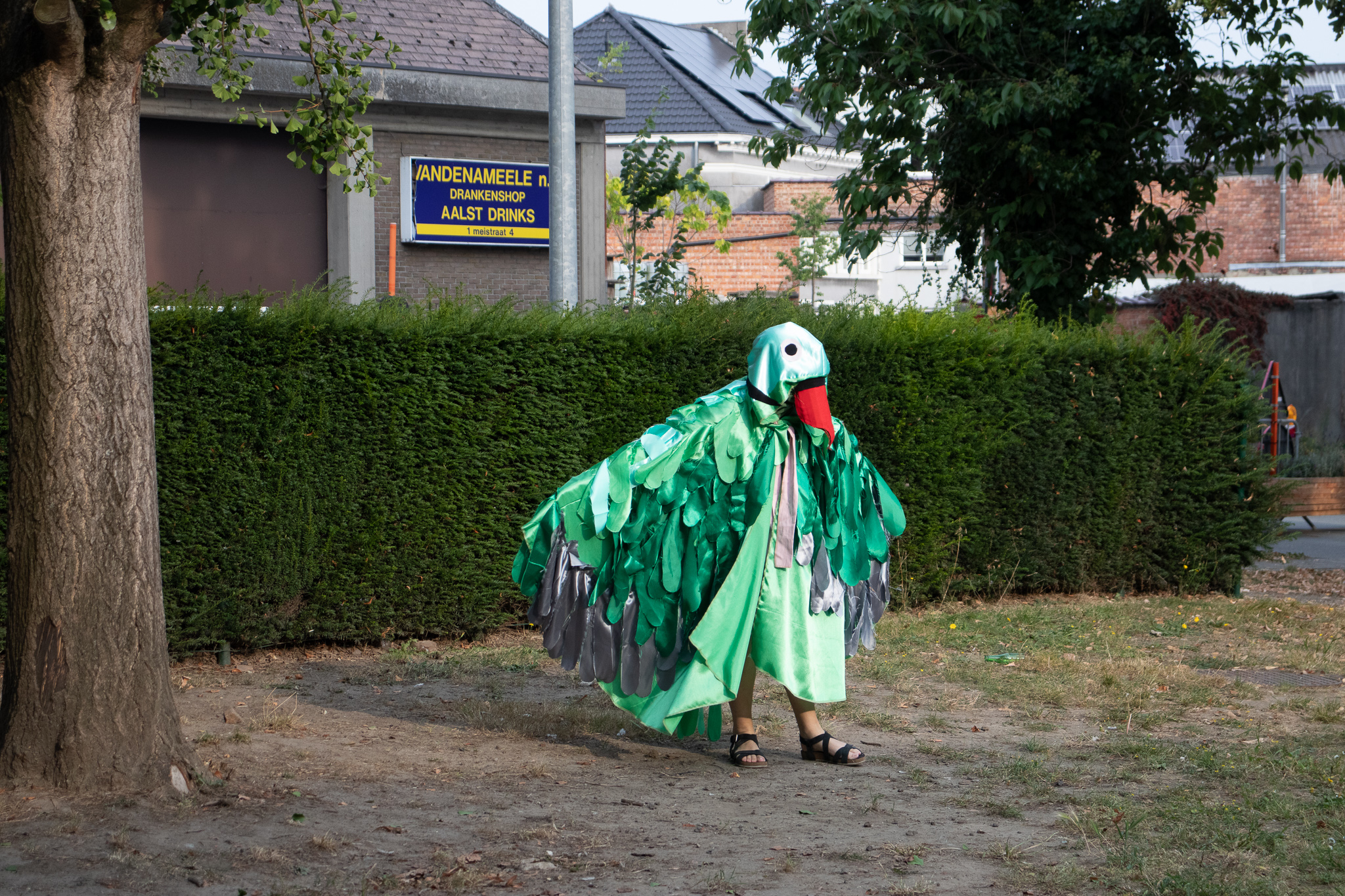 Het lied van de Europese stadsvogel: Huismus en Halsbandparkiet